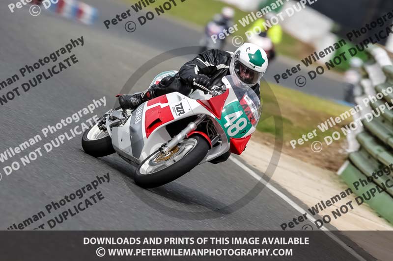 Vintage motorcycle club;eventdigitalimages;mallory park;mallory park trackday photographs;no limits trackdays;peter wileman photography;trackday digital images;trackday photos;vmcc festival 1000 bikes photographs